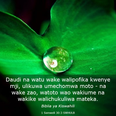 Picture 03 - 1 Samweli 30:3 SWHULB - Daudi na watu wake walipofika kwenye mji, ulikuwa - Bible Verse Picture