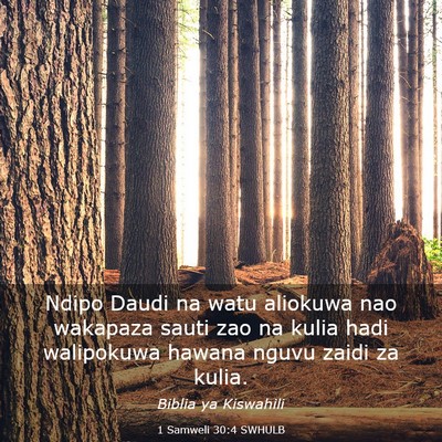 Picture 03 - 1 Samweli 30:4 SWHULB - Ndipo Daudi na watu aliokuwa nao wakapaza sauti - Bible Verse Picture