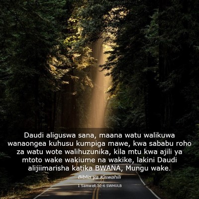 Picture 03 - 1 Samweli 30:6 SWHULB - Daudi aliguswa sana, maana watu walikuwa - Bible Verse Picture