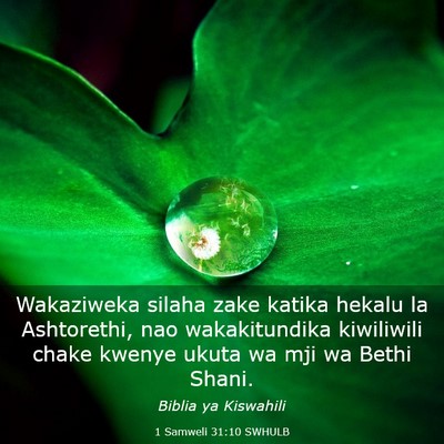 Picture 03 - 1 Samweli 31:10 SWHULB - Wakaziweka silaha zake katika hekalu la - Bible Verse Picture