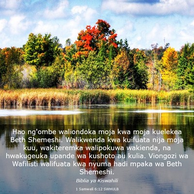 Picture 03 - 1 Samweli 6:12 SWHULB - Hao ng'ombe waliondoka moja kwa moja kuelekea - Bible Verse Picture