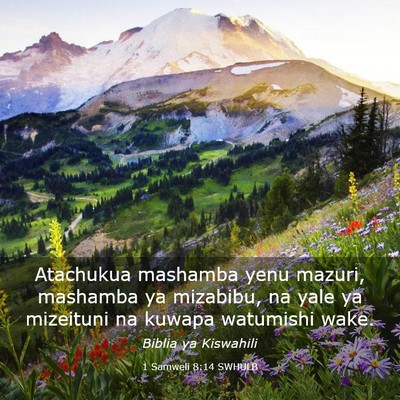 Picture 03 - 1 Samweli 8:14 SWHULB - Atachukua mashamba yenu mazuri, mashamba ya - Bible Verse Picture