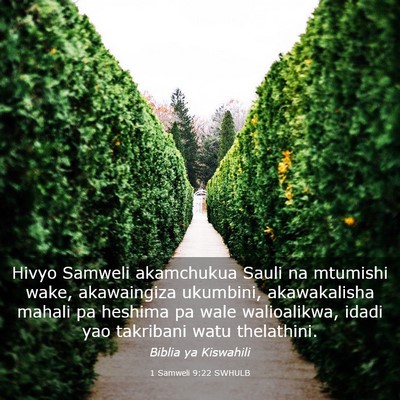 Picture 03 - 1 Samweli 9:22 SWHULB - Hivyo Samweli akamchukua Sauli na mtumishi wake, - Bible Verse Picture