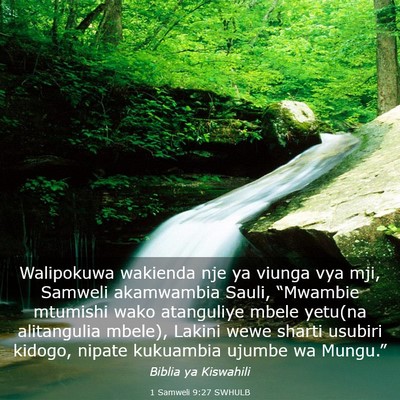 Picture 03 - 1 Samweli 9:27 SWHULB - Walipokuwa wakienda nje ya viunga vya mji, - Bible Verse Picture