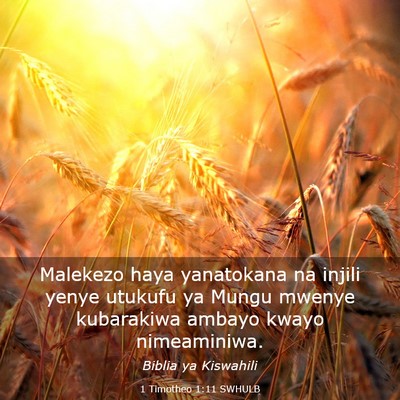Picture 03 - 1 Timotheo 1:11 SWHULB - Malekezo haya yanatokana na injili yenye utukufu - Bible Verse Picture