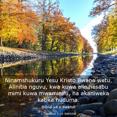 Picture 03 - 1 Timotheo 1:12 SWHULB - Ninamshukuru Yesu Kristo Bwana wetu. Alinitia - Bible Verse Picture