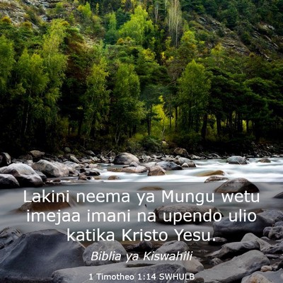 Picture 03 - 1 Timotheo 1:14 SWHULB - Lakini neema ya Mungu wetu imejaa imani na upendo - Bible Verse Picture