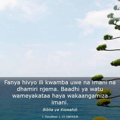 Picture 03 - 1 Timotheo 1:19 SWHULB - Fanya hivyo ili kwamba uwe na imani na dhamiri - Bible Verse Picture