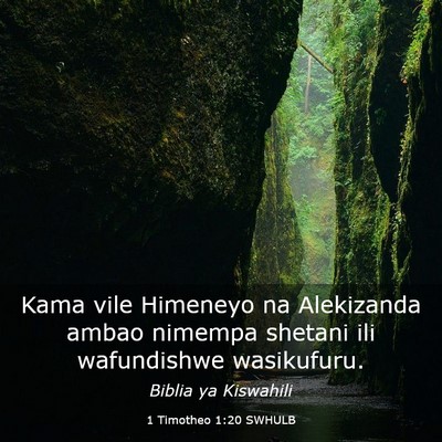 Picture 03 - 1 Timotheo 1:20 SWHULB - Kama vile Himeneyo na Alekizanda ambao nimempa - Bible Verse Picture