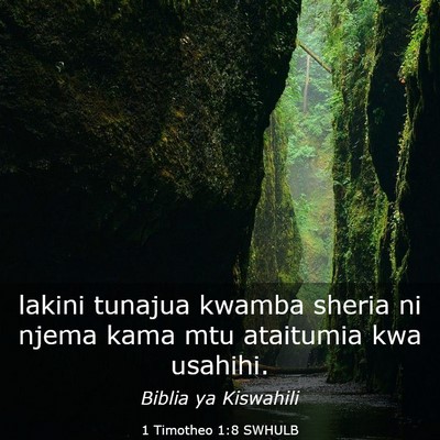 Picture 03 - 1 Timotheo 1:8 SWHULB - lakini tunajua kwamba sheria ni njema kama mtu - Bible Verse Picture