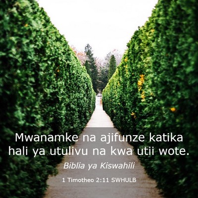 Picture 03 - 1 Timotheo 2:11 SWHULB - Mwanamke na ajifunze katika hali ya utulivu na - Bible Verse Picture