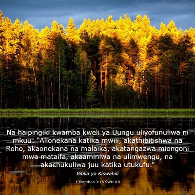 Picture 03 - 1 Timotheo 3:16 SWHULB - Na haipingiki kwamba kweli ya Uungu uliyofunuliwa - Bible Verse Picture