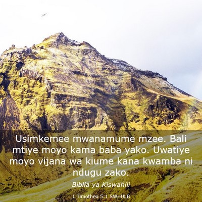 Picture 03 - 1 Timotheo 5:1 SWHULB - Usimkemee mwanamume mzee. Bali mtiye moyo kama - Bible Verse Picture