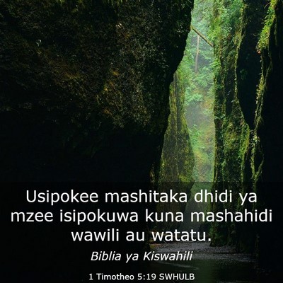 Picture 03 - 1 Timotheo 5:19 SWHULB - Usipokee mashitaka dhidi ya mzee isipokuwa kuna - Bible Verse Picture