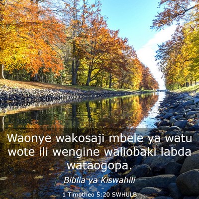 Picture 03 - 1 Timotheo 5:20 SWHULB - Waonye wakosaji mbele ya watu wote ili wengine - Bible Verse Picture