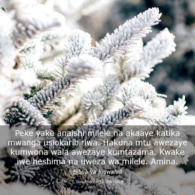 Picture 03 - 1 Timotheo 6:16 SWHULB - Peke yake anaishi milele na akaaye katika mwanga - Bible Verse Picture