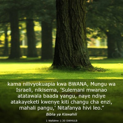 Picture 03 - 1 Wafalme 1:30 SWHULB - kama nilivyokuapia kwa BWANA, Mungu wa Israeli, - Bible Verse Picture