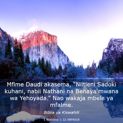 Picture 03 - 1 Wafalme 1:32 SWHULB - Mflme Daudi akasema, “Niitieni Sadoki kuhani, - Bible Verse Picture