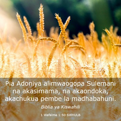 Picture 03 - 1 Wafalme 1:50 SWHULB - Pia Adoniya alimwaogopa Sulemani na akasimama, na - Bible Verse Picture