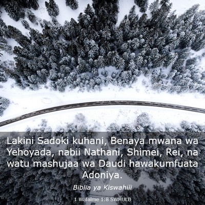 Picture 03 - 1 Wafalme 1:8 SWHULB - Lakini Sadoki kuhani, Benaya mwana wa Yehoyada, - Bible Verse Picture