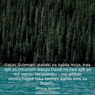 Picture 03 - 1 Wafalme 11:32 SWHULB - (lakini Sulemani atabaki na kabila moja, kwa - Bible Verse Picture
