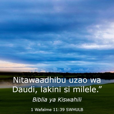 Picture 03 - 1 Wafalme 11:39 SWHULB - Nitawaadhibu uzao wa Daudi, lakini si - Bible Verse Picture