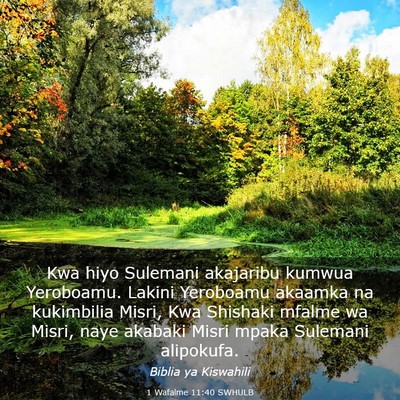 Picture 03 - 1 Wafalme 11:40 SWHULB - Kwa hiyo Sulemani akajaribu kumwua Yeroboamu. - Bible Verse Picture