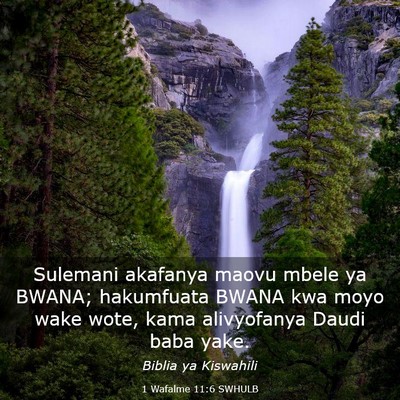 Picture 03 - 1 Wafalme 11:6 SWHULB - Sulemani akafanya maovu mbele ya BWANA; - Bible Verse Picture
