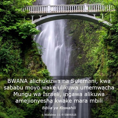 Picture 03 - 1 Wafalme 11:9 SWHULB - BWANA alichukizwa na Sulemani, kwa sababu moyo - Bible Verse Picture