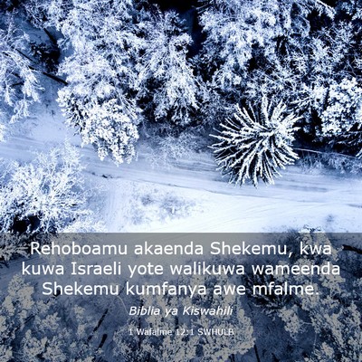 Picture 03 - 1 Wafalme 12:1 SWHULB - Rehoboamu akaenda Shekemu, kwa kuwa Israeli yote - Bible Verse Picture