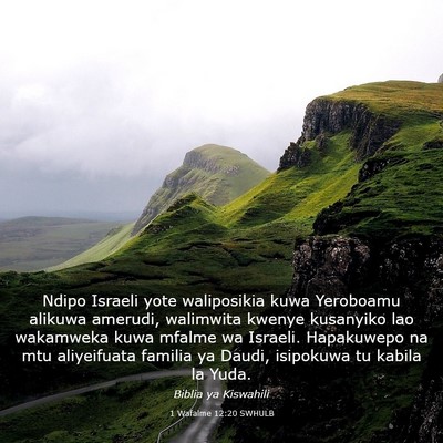 Picture 03 - 1 Wafalme 12:20 SWHULB - Ndipo Israeli yote waliposikia kuwa Yeroboamu - Bible Verse Picture