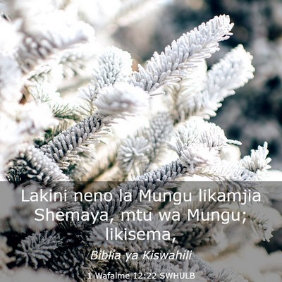 Picture 03 - 1 Wafalme 12:22 SWHULB - Lakini neno la Mungu likamjia Shemaya, mtu wa - Bible Verse Picture
