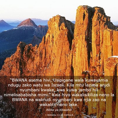 Picture 03 - 1 Wafalme 12:24 SWHULB - “BWANA asema hivi, Usipigane wala kuwavamia - Bible Verse Picture