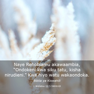 Picture 03 - 1 Wafalme 12:5 SWHULB - Naye Rehobiamu akawaambia, “Ondokeni kwa siku - Bible Verse Picture