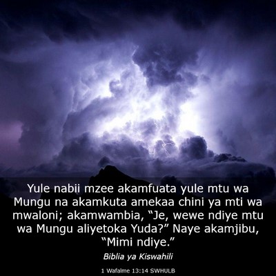 Picture 03 - 1 Wafalme 13:14 SWHULB - Yule nabii mzee akamfuata yule mtu wa Mungu na - Bible Verse Picture