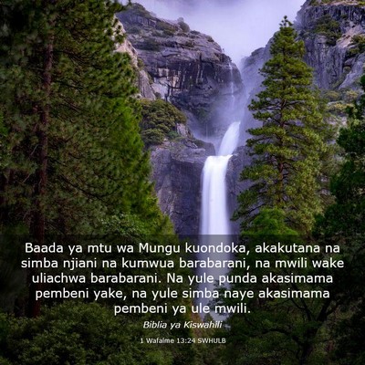 Picture 03 - 1 Wafalme 13:24 SWHULB - Baada ya mtu wa Mungu kuondoka, akakutana na - Bible Verse Picture