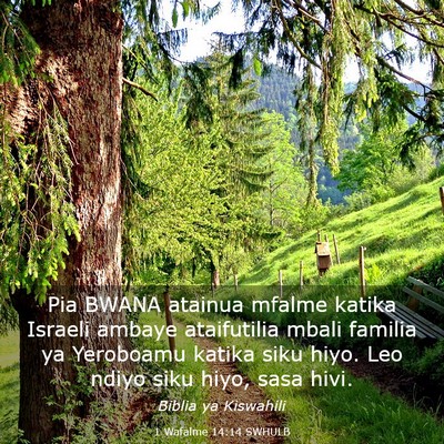 Picture 03 - 1 Wafalme 14:14 SWHULB - Pia BWANA atainua mfalme katika Israeli ambaye - Bible Verse Picture