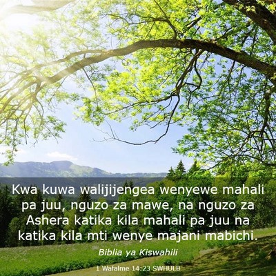 Picture 03 - 1 Wafalme 14:23 SWHULB - Kwa kuwa walijijengea wenyewe mahali pa juu, - Bible Verse Picture