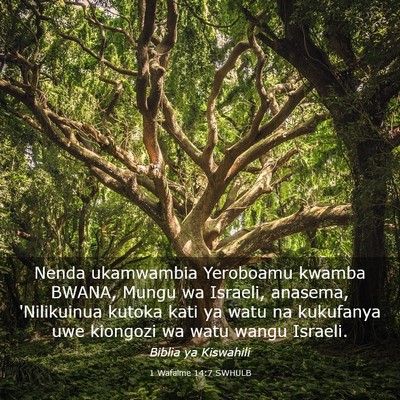Picture 03 - 1 Wafalme 14:7 SWHULB - Nenda ukamwambia Yeroboamu kwamba BWANA, Mungu wa - Bible Verse Picture