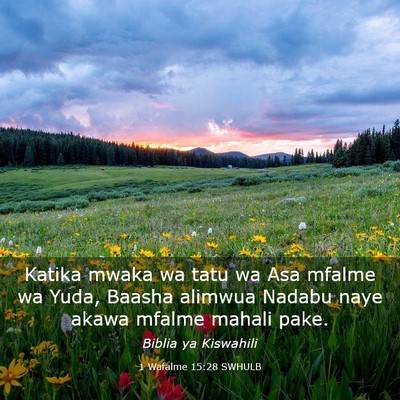 Picture 03 - 1 Wafalme 15:28 SWHULB - Katika mwaka wa tatu wa Asa mfalme wa Yuda, - Bible Verse Picture