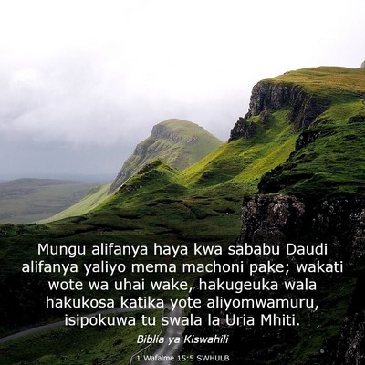 Picture 03 - 1 Wafalme 15:5 SWHULB - Mungu alifanya haya kwa sababu Daudi alifanya - Bible Verse Picture