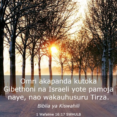 Picture 03 - 1 Wafalme 16:17 SWHULB - Omri akapanda kutoka Gibethoni na Israeli yote - Bible Verse Picture