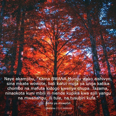 Picture 03 - 1 Wafalme 17:12 SWHULB - Naye akamjibu, “Kama BWANA Mungu wako aishivyo, - Bible Verse Picture