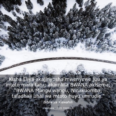 Picture 03 - 1 Wafalme 17:21 SWHULB - Kisha Eliya akajinyosha mwenyewe juu ya mtoto - Bible Verse Picture