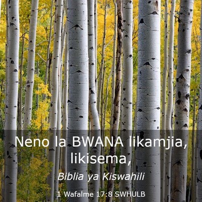 Picture 03 - 1 Wafalme 17:8 SWHULB - Neno la BWANA likamjia, - Bible Verse Picture