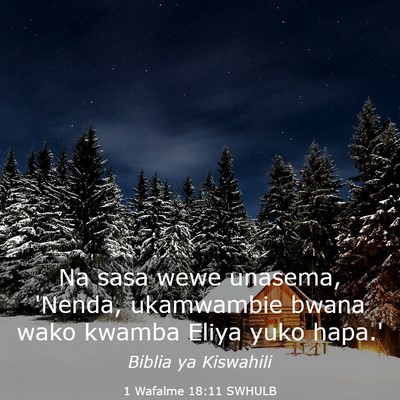Picture 03 - 1 Wafalme 18:11 SWHULB - Na sasa wewe unasema, 'Nenda, ukamwambie bwana - Bible Verse Picture