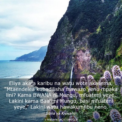 Picture 03 - 1 Wafalme 18:21 SWHULB - Eliya akaja karibu na watu wote akasema, - Bible Verse Picture