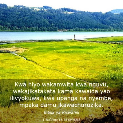 Picture 03 - 1 Wafalme 18:28 SWHULB - Kwa hiyo wakamwita kwa nguvu, wakajikatakata kama - Bible Verse Picture