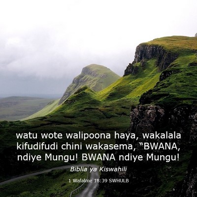 Picture 03 - 1 Wafalme 18:39 SWHULB - watu wote walipoona haya, wakalala kifudifudi - Bible Verse Picture