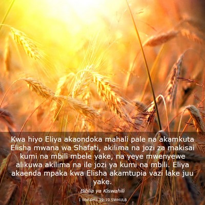 Picture 03 - 1 Wafalme 19:19 SWHULB - Kwa hiyo Eliya akaondoka mahali pale na akamkuta - Bible Verse Picture